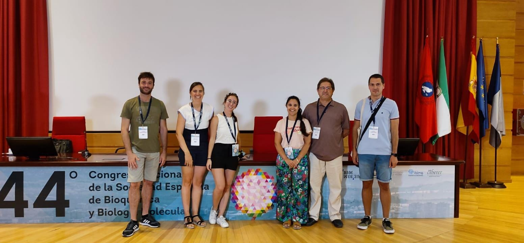 Gran representación riojana de científicos del CIBIR en el Congreso anual de la Sociedad Española de Bioquímica y Biología Molecular (SEBBM) celebrado en Málaga